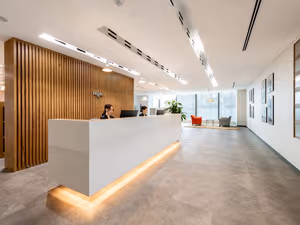 1 Person Virtual Office