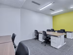 1 Person Virtual Office