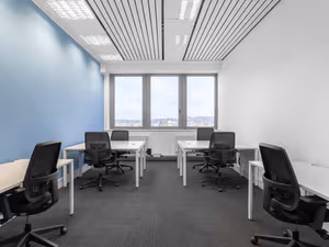 1 Person Virtual Office