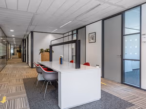 1 Person Virtual Office