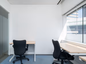 1 Person Virtual Office