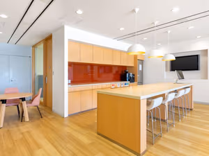 1 Person Virtual Office