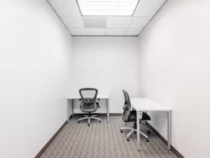 1 Person Virtual Office