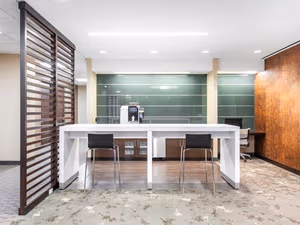 1 Person Virtual Office