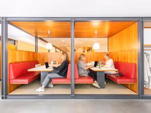 1 Person Virtual Office