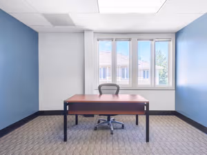 1 Person Virtual Office