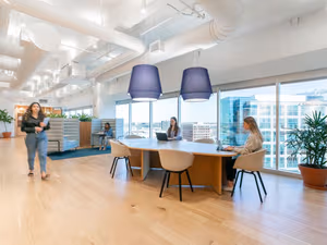 1 Person Virtual Office