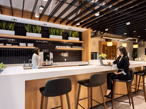 1 Person Virtual Office