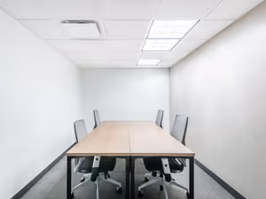 1 Person Virtual Office