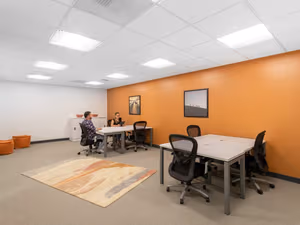 1 Person Virtual Office