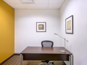 1 Person Virtual Office