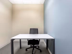 1 Person Virtual Office