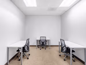 1 Person Virtual Office