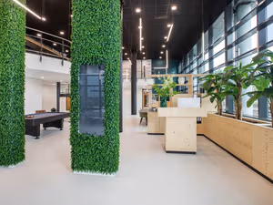 1 Person Virtual Office