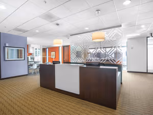 1 Person Virtual Office