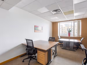 1 Person Virtual Office