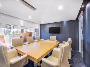 1 Person Virtual Office