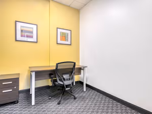 1 Person Virtual Office