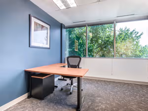 1 Person Virtual Office