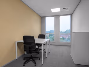 1 Person Virtual Office