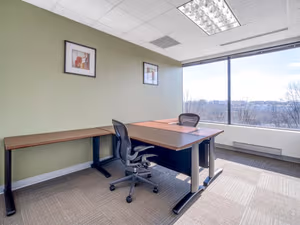 1 Person Virtual Office