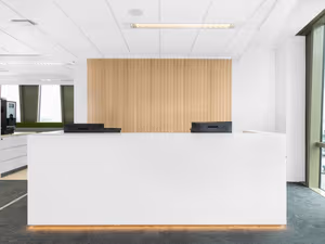 1 Person Virtual Office