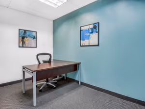 1 Person Virtual Office