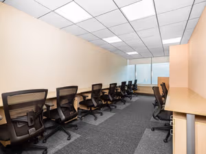 1 Person Virtual Office