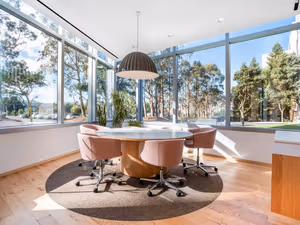 1 Person Virtual Office