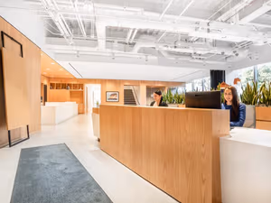 1 Person Virtual Office