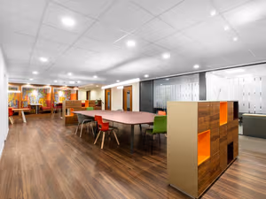 1 Person Virtual Office