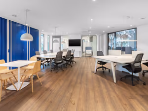 1 Person Virtual Office