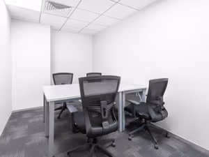 1 Person Virtual Office