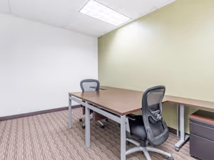 1 Person Virtual Office