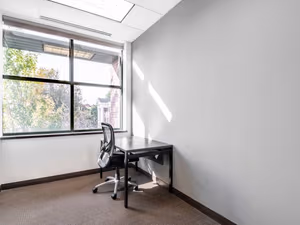 1 Person Virtual Office