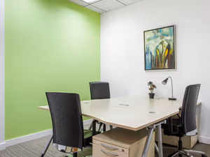 1 Person Virtual Office