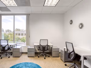 1 Person Virtual Office