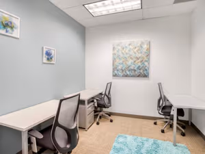 1 Person Virtual Office