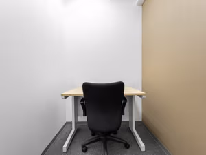 1 Person Virtual Office