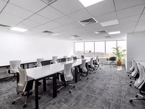 1 Person Virtual Office