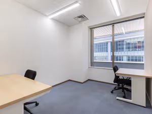 1 Person Virtual Office