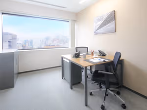 1 Person Virtual Office