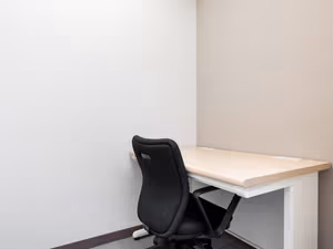 1 Person Virtual Office