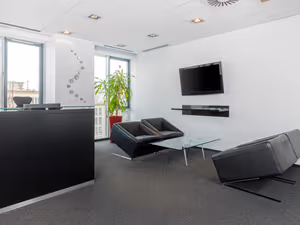 1 Person Virtual Office