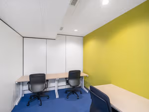 1 Person Virtual Office