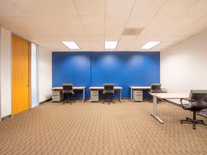 1 Person Virtual Office