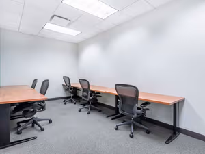 1 Person Virtual Office