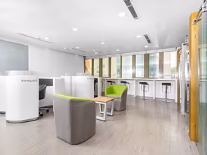 1 Person Virtual Office