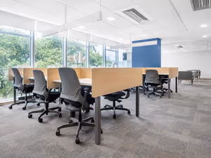 1 Person Virtual Office