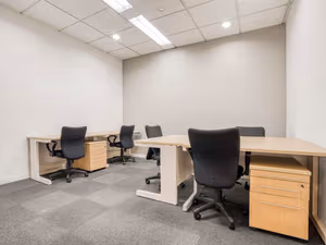 1 Person Virtual Office